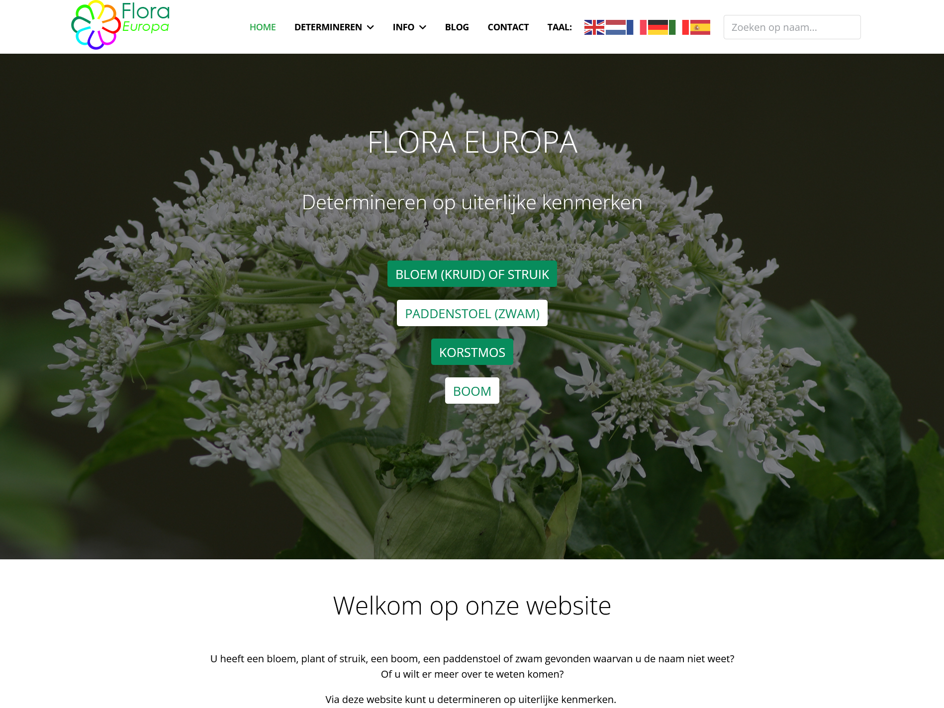 FLORA EUROPA Flora Europa